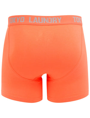 Whitham 2 (2 Pack) Boxer Shorts Set in Orange / Light Grey Marl - Tokyo Laundry