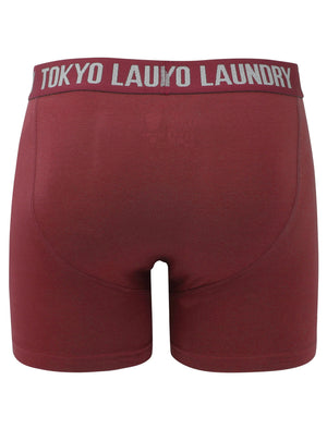 Whitham (2 Pack) Boxer Shorts Set in Oxblood / Light Grey Marl - Tokyo Laundry