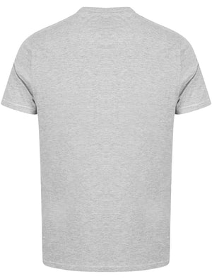Williamson Applique Cotton T-Shirt In Light Grey Marl - Tokyo Laundry