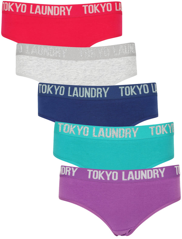 Willow 2 (5 Pack) Assorted Briefs In Rose/Grey Marl/Sapphire/ Green/Dewberry - Tokyo Laundry
