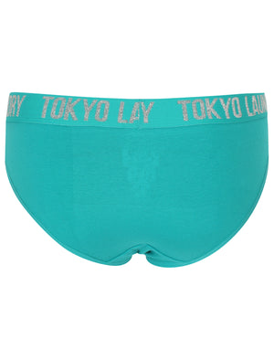 Willow 2 (5 Pack) Assorted Briefs In Rose/Grey Marl/Sapphire/ Green/Dewberry - Tokyo Laundry