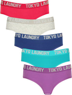 Willow (5 Pack) Assorted Briefs in Bright Rose / Light Grey Marl / Sapphire / Virdian Green / Dewberry - Tokyo Laundry