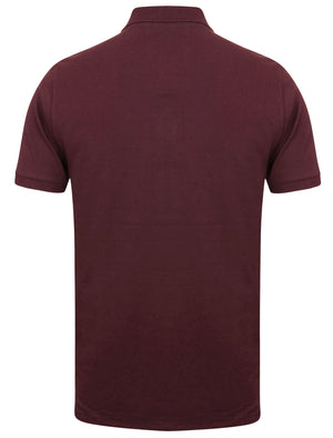 Winterfield Pique Polo Shirt in Wine Tasting - Tokyo Laundry