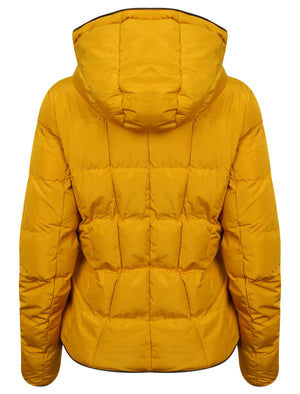 Wookie Quilted Hooded Jacket in Old Gold - Tokyo Laundry