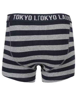 Yass (2 Pack) Striped Boxer Shorts Set in Optic White / Mid Grey Marl - Tokyo Laundry