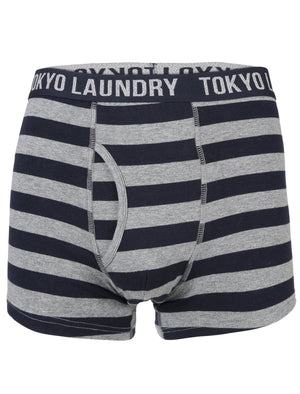 Yass (2 Pack) Striped Boxer Shorts Set in Optic White / Mid Grey Marl - Tokyo Laundry