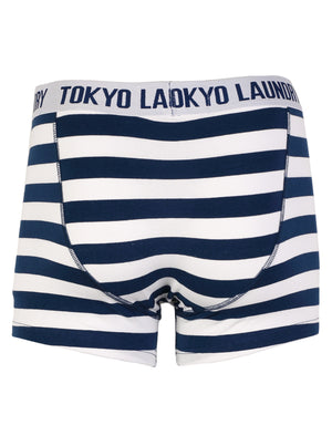 Yass (2 Pack) Striped Boxer Shorts Set in Black / Estate Blue- Tokyo Laundry