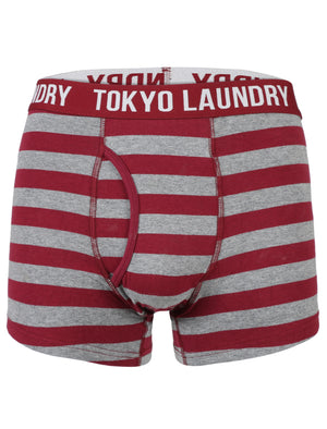 Yass ( 2 Pack) Striped Boxer Shorts Set in Rioja / Vintage Indigo - Tokyo Laundry