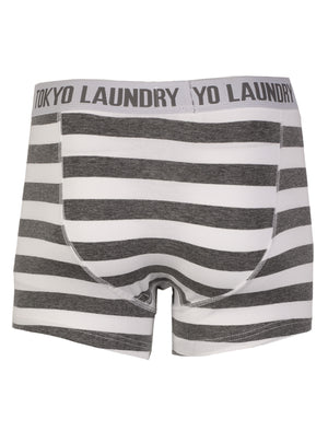 Yass (2 Pack) Striped Boxer Shorts Set in Optic White / Mid Grey Marl - Tokyo Laundry