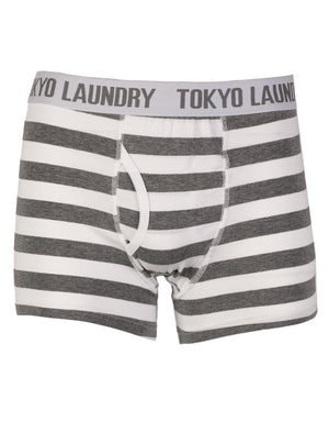 Yass (2 Pack) Striped Boxer Shorts Set in Optic White / Mid Grey Marl - Tokyo Laundry
